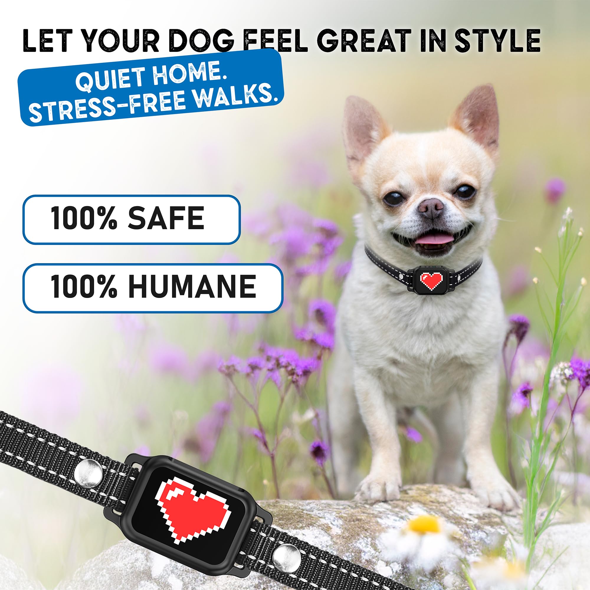 ELECANE bark collar ideal for walks and home training to curb barking