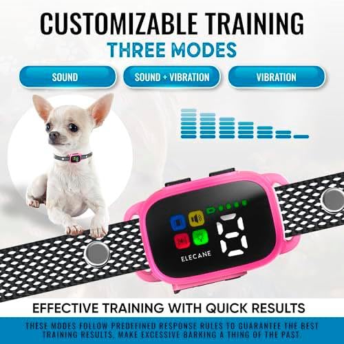 ELECANE-no-shock-training-collar showing gentle feedback for calm correction