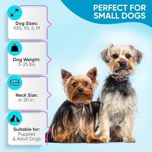ELECANE-rechargeable-bark-collar usage highlighting convenient charging