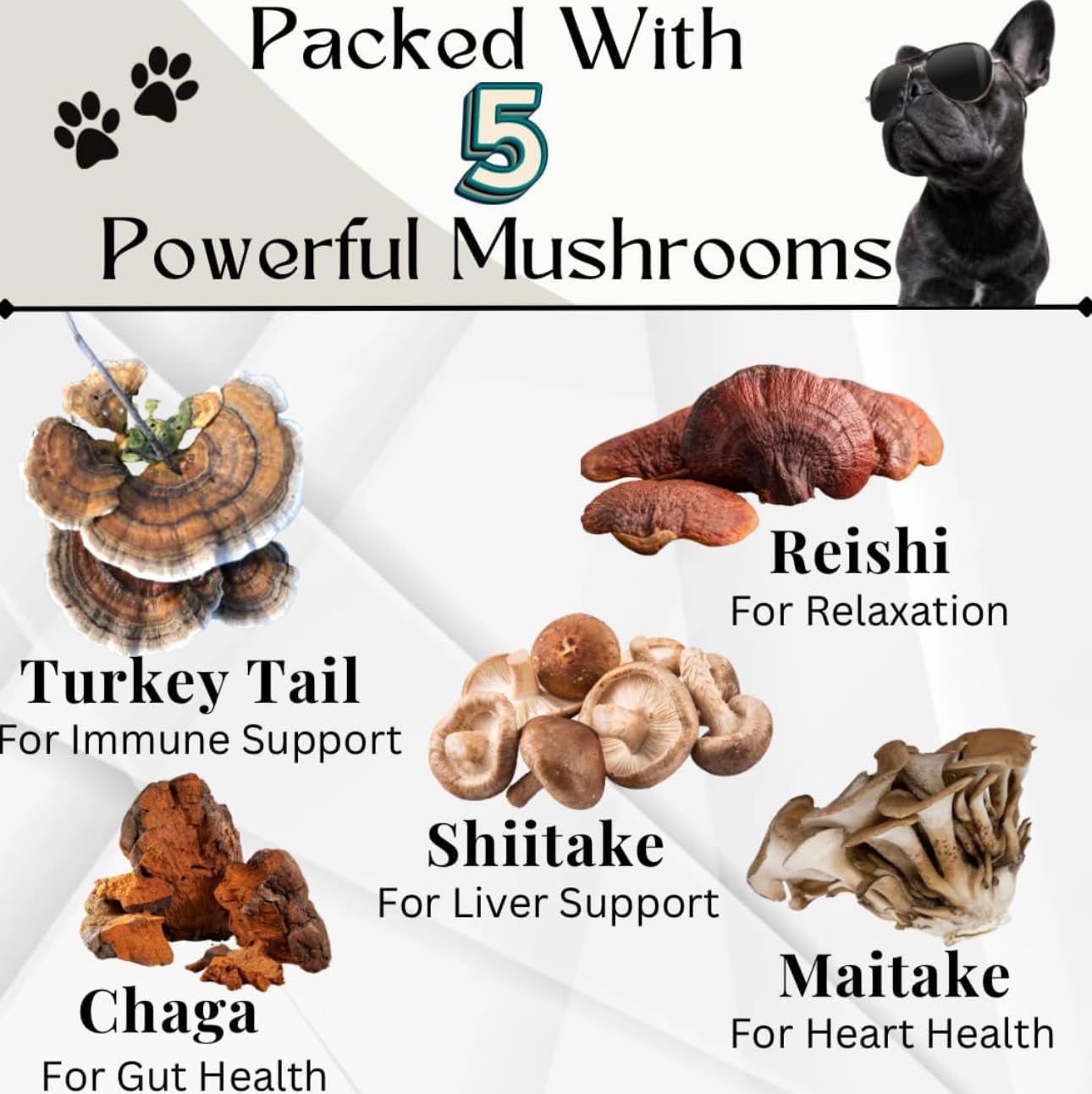 Electric Elixir Buddy Health Guard label emphasizes natural ingredients for daily canine wellness