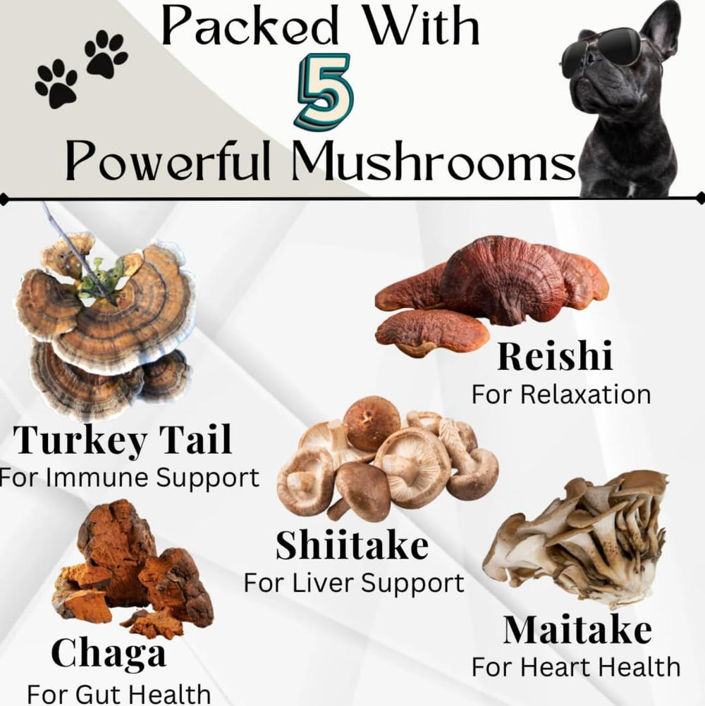 Electric Elixir Buddy Health Guard label emphasizes natural ingredients for daily canine wellness