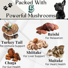 Electric Elixir Buddy Health Guard label emphasizes natural ingredients for daily canine wellness