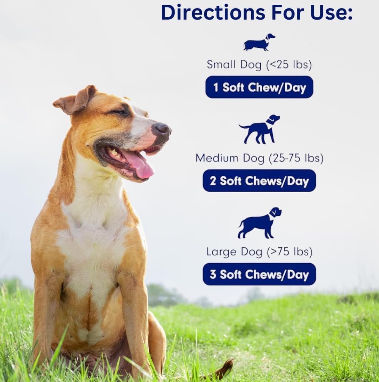 Electric Elixir dog chews close-up show joint and gut vitality support