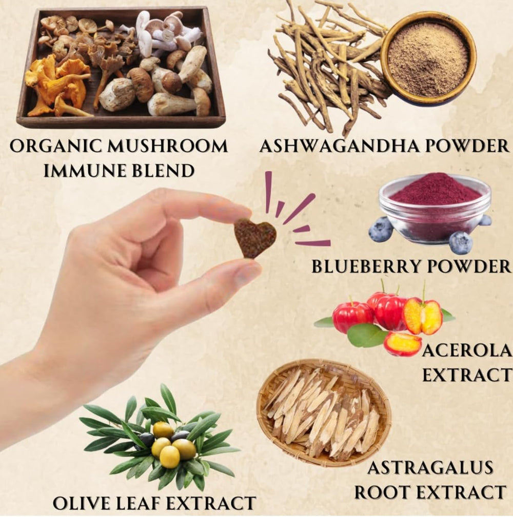Electric Elixir immunity-support dog chews with chicken flavor for tasty daily use