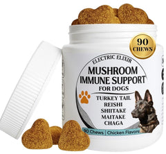 Electric Elixir Turkey Tail dog chews packaging highlights immune-support formula