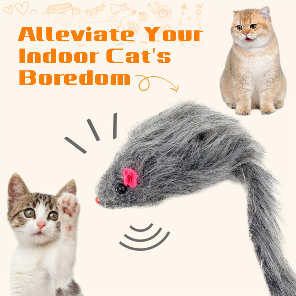 Electspark supervised play reminder for safe use of cat mice toys