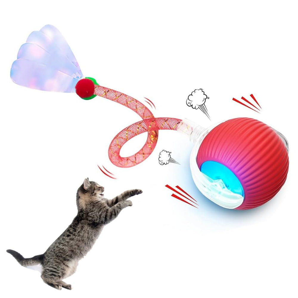 Elegancy Speedy Tail 2.0 ball front view—playful indoor cat exercise companion.
