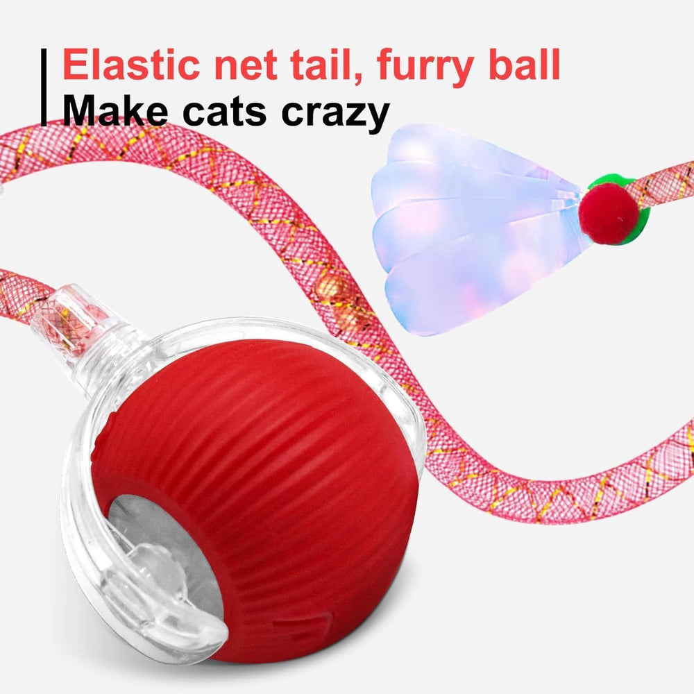 Elegancy Speedy Tail 2.0 soft-touch ball—safe, kitten-friendly design.
