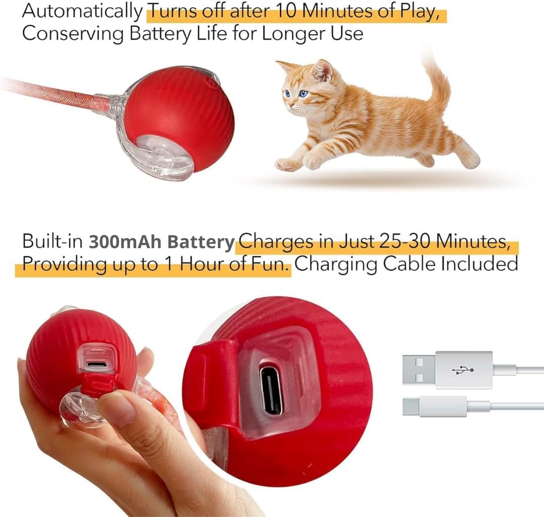 Elegancy Speedy Tail 2.0 USB-C rechargeable—convenient charging for longer play sessions.