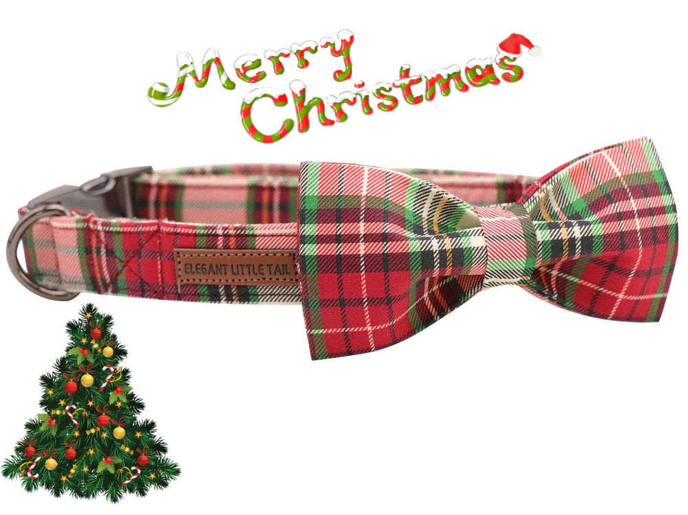 Elegant little tail adjustable-collar closeup highlights sturdy construction for daily wear.