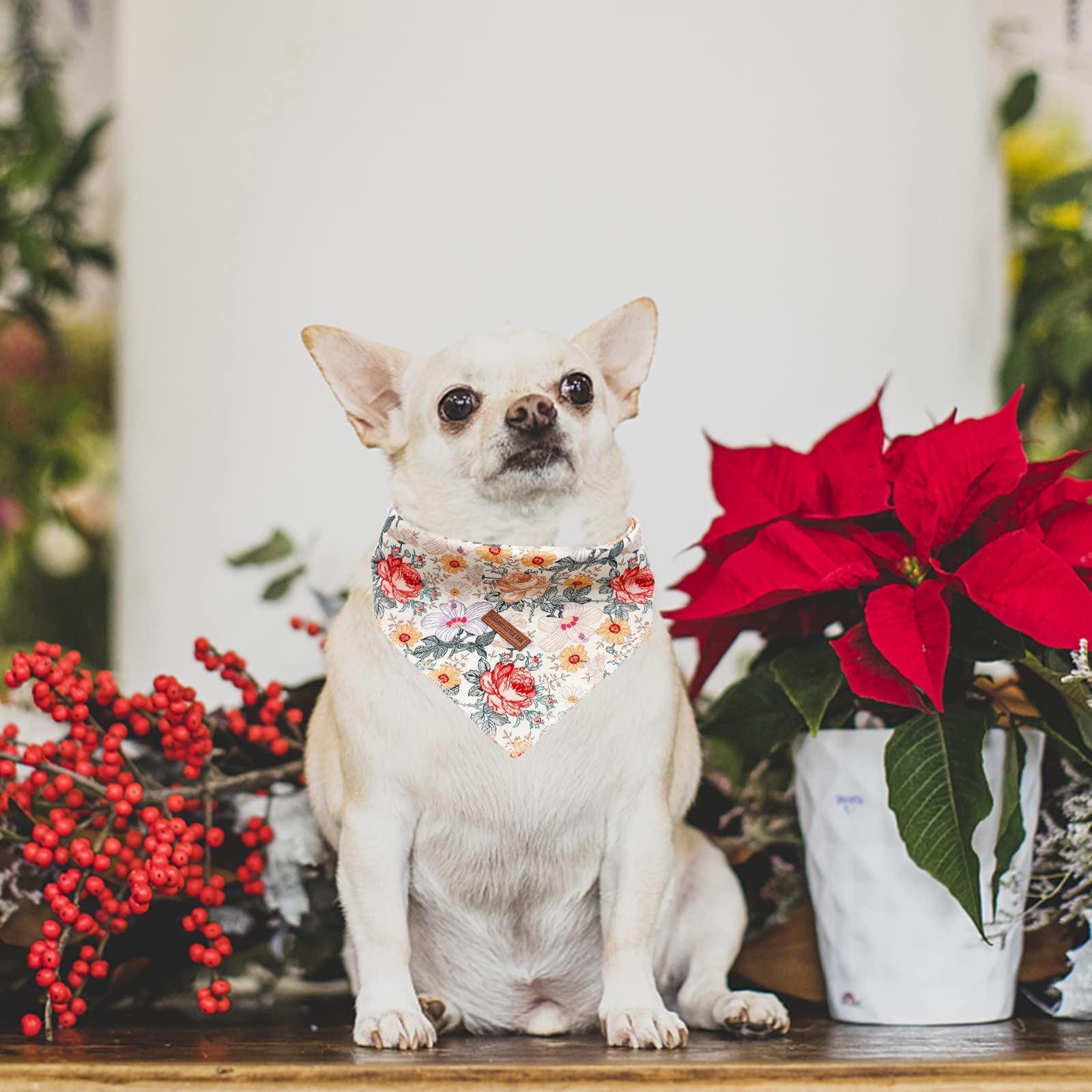 Elegant Little Tail Bandana machine-washable design for easy care
