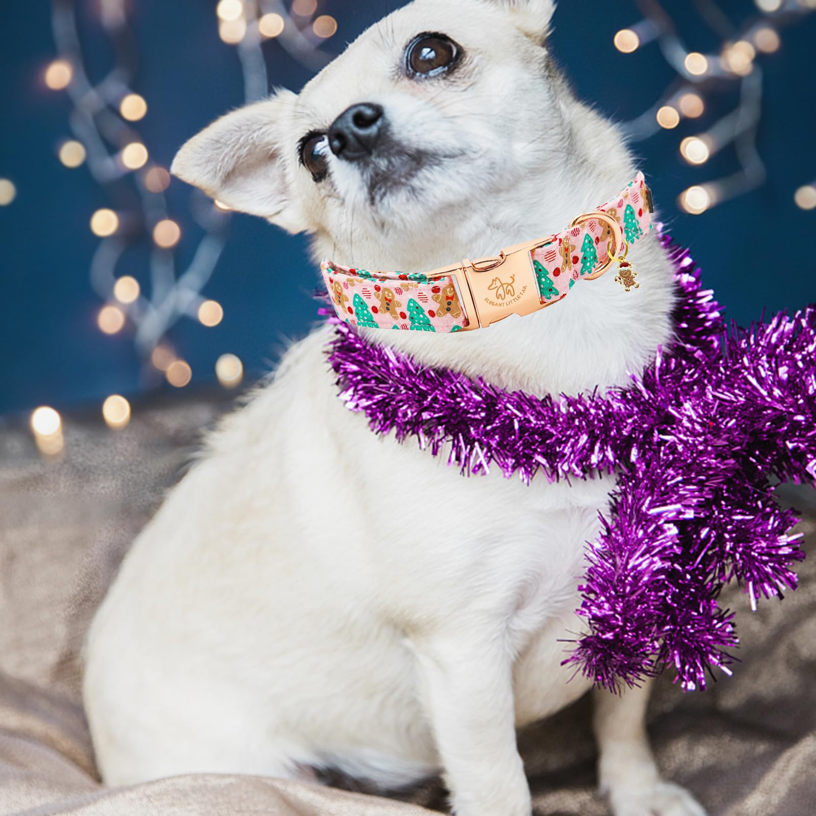Elegant little tail Christmas dog collar accessory closeup adds seasonal flair