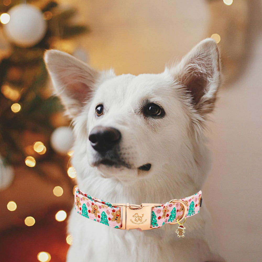 Elegant little tail Christmas dog collar washable design for easy maintenance