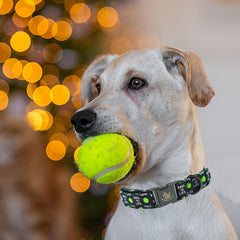 Collar Elegant Little Tail con motivos invernales, estilo único para mascotas