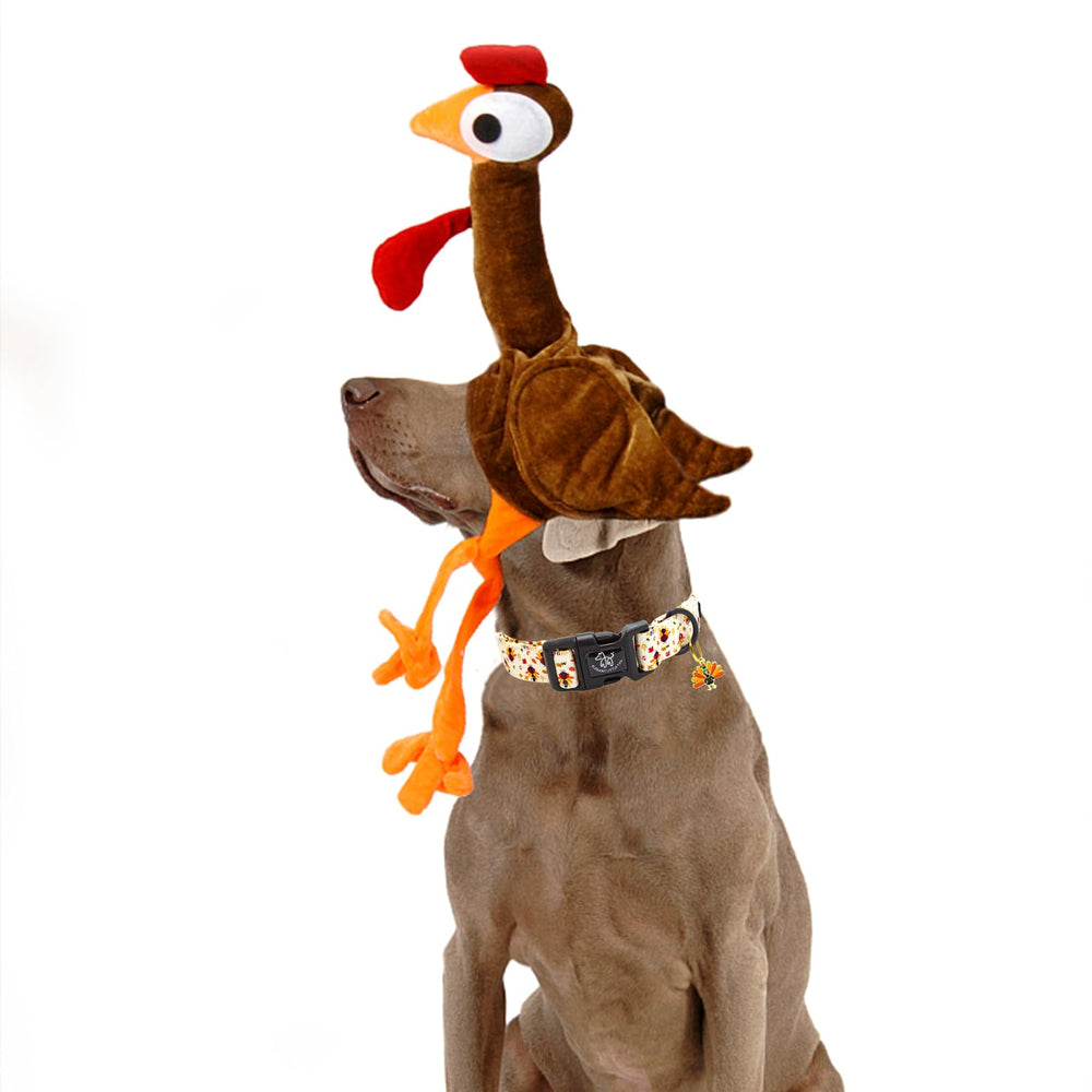 Elegant Little Tail cotton-soft collar balances softness with durability for daily wear.