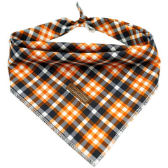 Elegant Little Tail dog bandana in fall design on a dog for stylish photos.