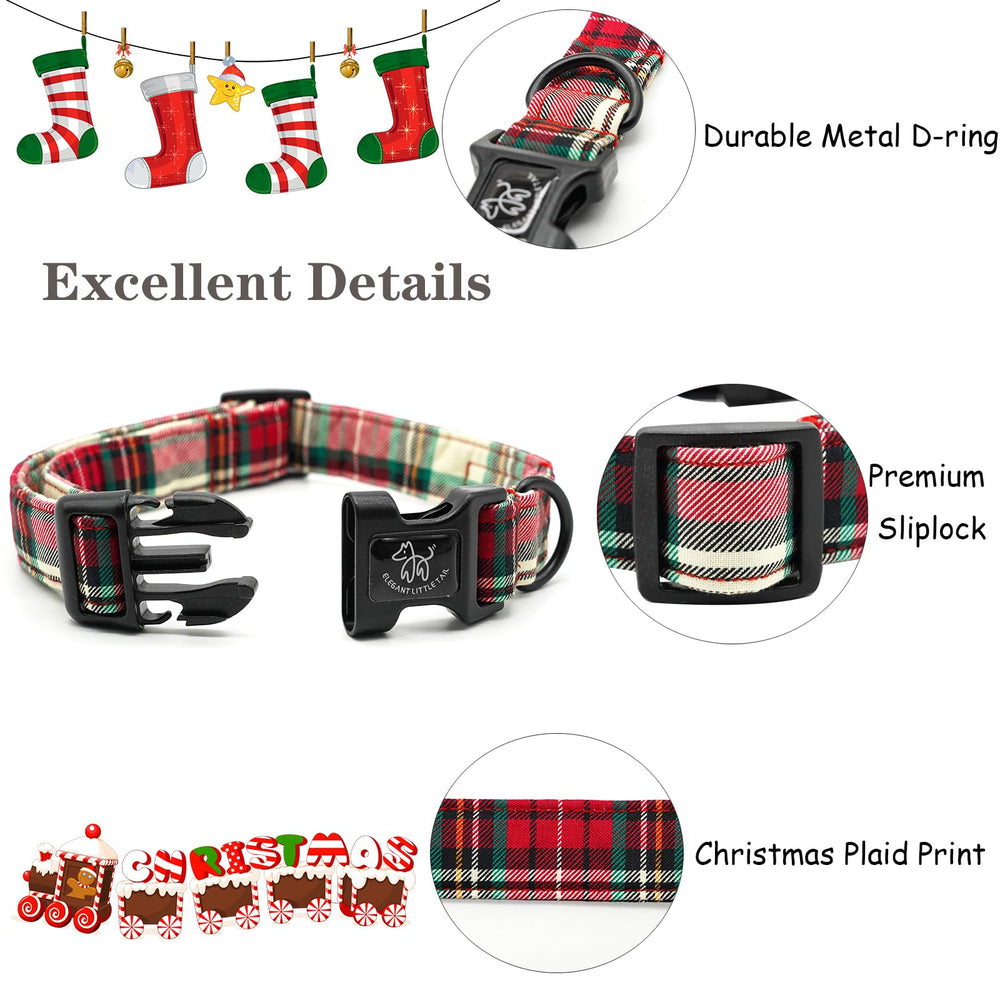 Elegant Little Tail dog collar with durable eco-friendly buckle for secure wear