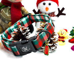 Elegant little tail eco-friendly buckle dog collar demonstrates lightweight comfort and durability
