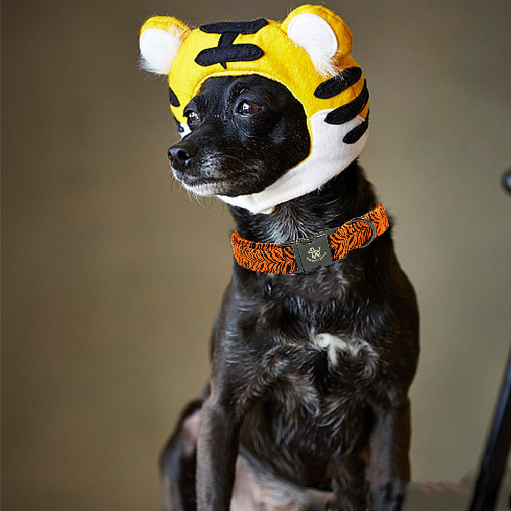 Elegant Little Tail Elegant Tiger Print Collar XL-fit on large dog neck preview