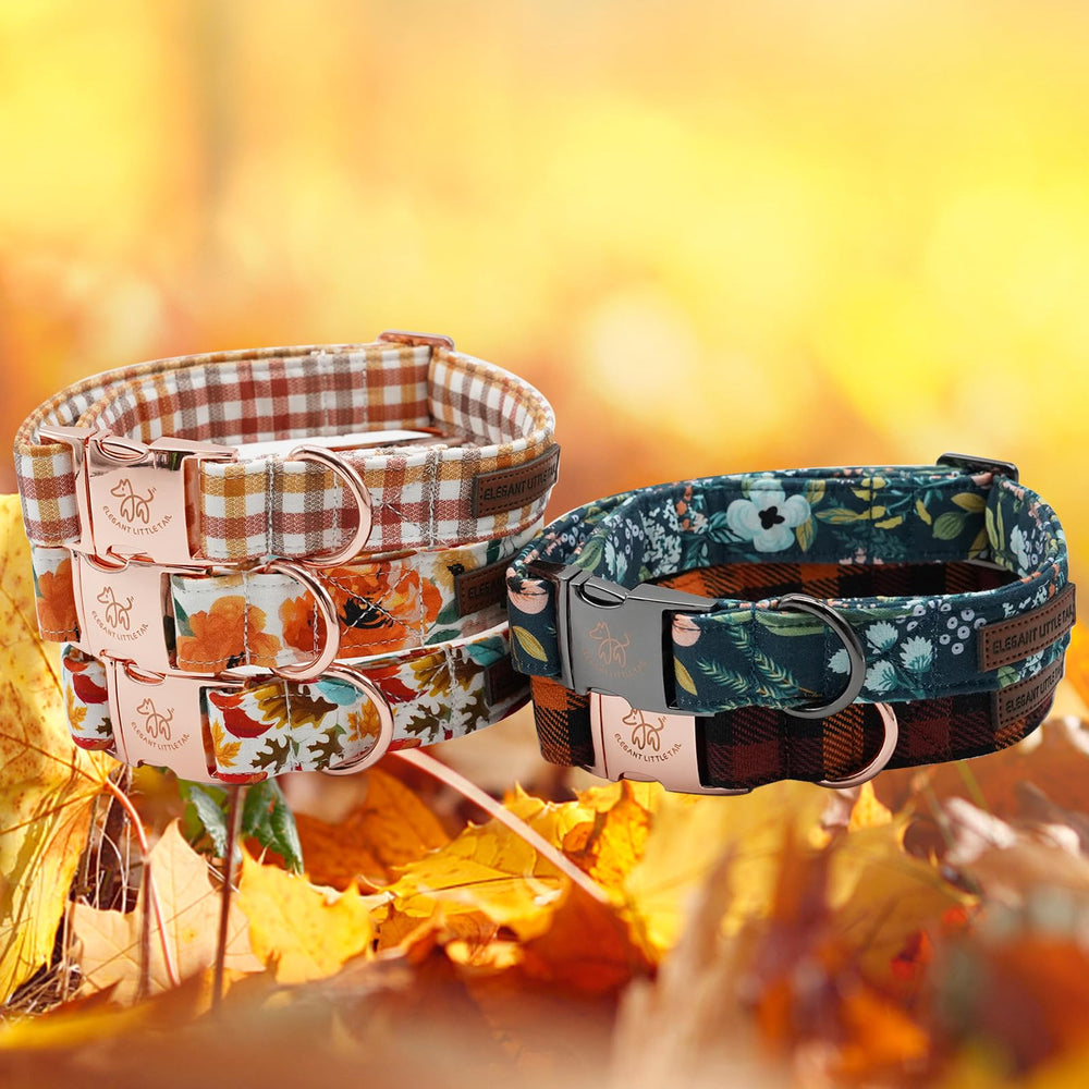 Elegant little tail floral dog collar gift-ready packaging for gifting.
