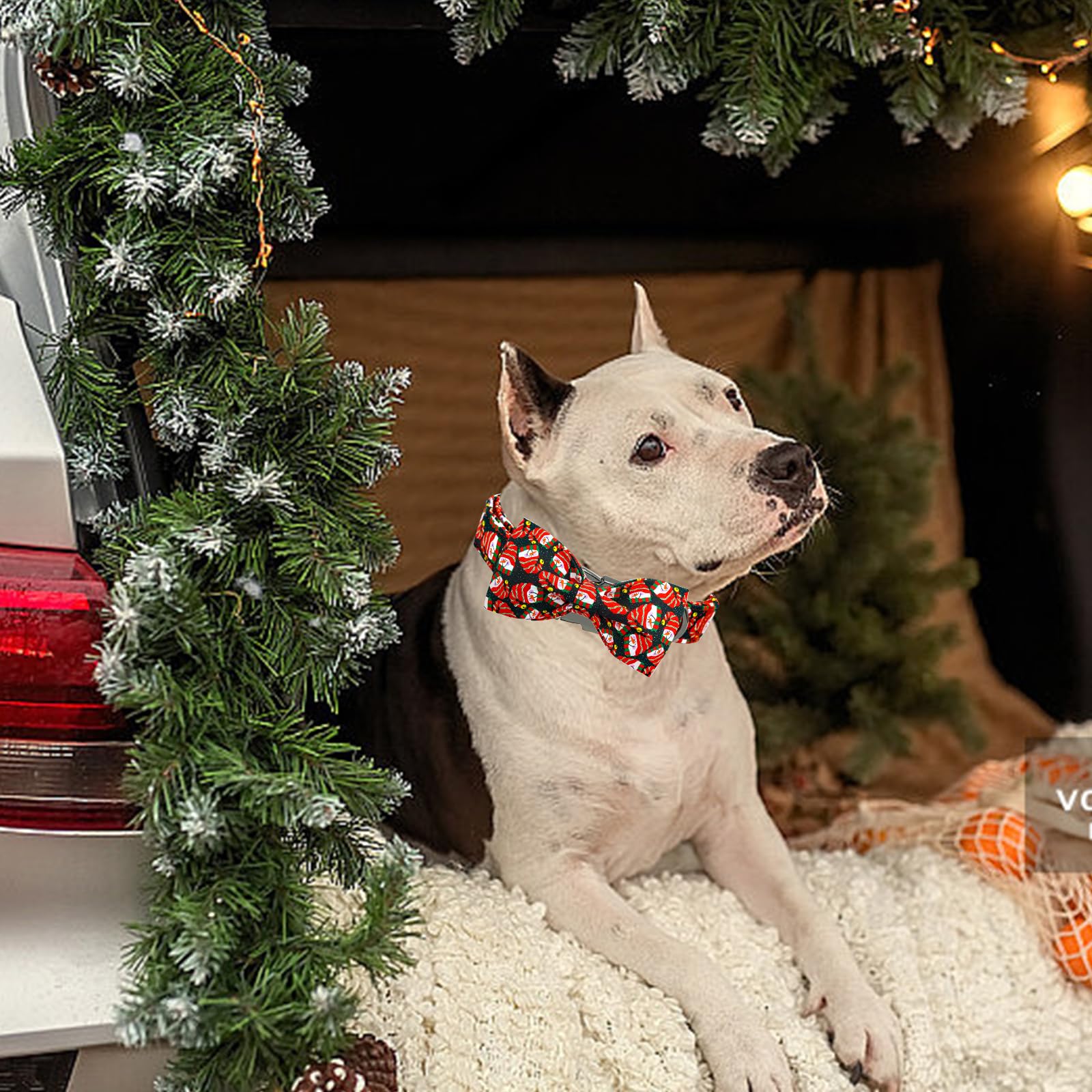 Elegant little tail model wearing snowmen collar during holiday photoshoot.