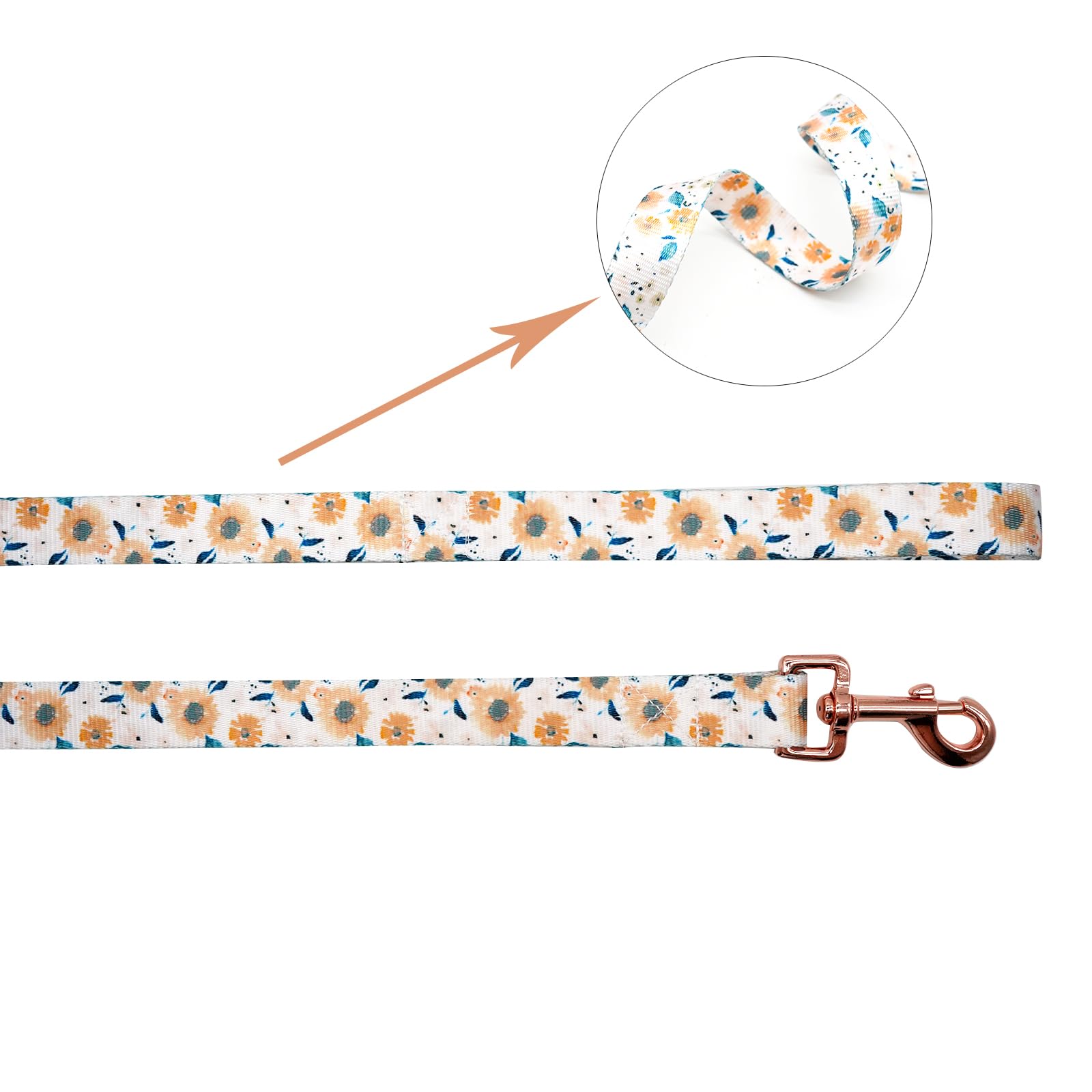 Elegant Little Tail pattern collar adds unique personality to outings.