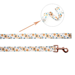 Elegant Little Tail pattern collar adds unique personality to outings.
