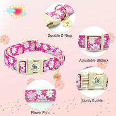 Elegant little tail pink floral dog collar adjustable buckle for easy fit
