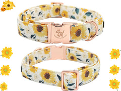 Elegant little tail sunflower collar on dog demonstrates cheerful pattern and comfortable wear.