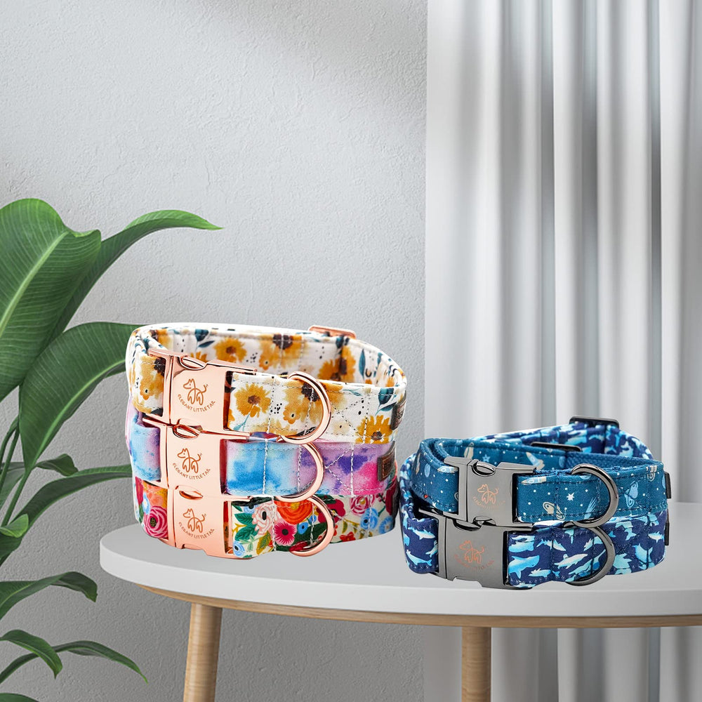Elegant little tail sunflower collar packaging shown as a thoughtful gift option.