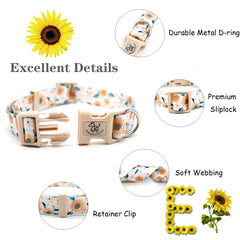 Elegant Little Tail sunflower leash provides smooth handling for daily walks.