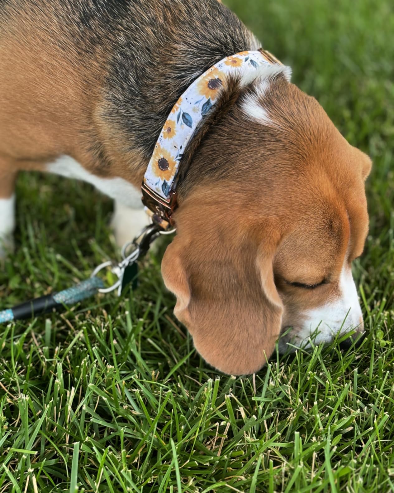 Elegant little tail sunflower pattern detail emphasizes vivid print and durable construction.