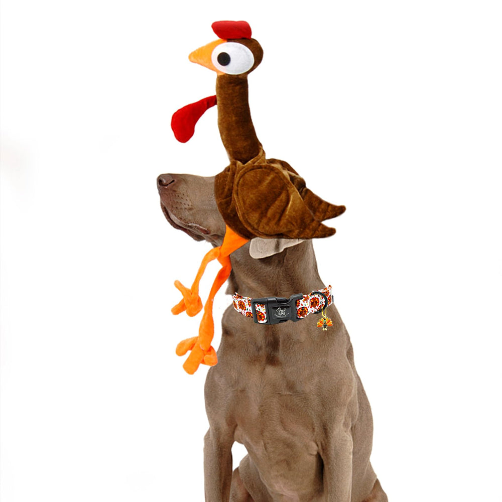 Elegant little tail double box stitch collar reinforced durability