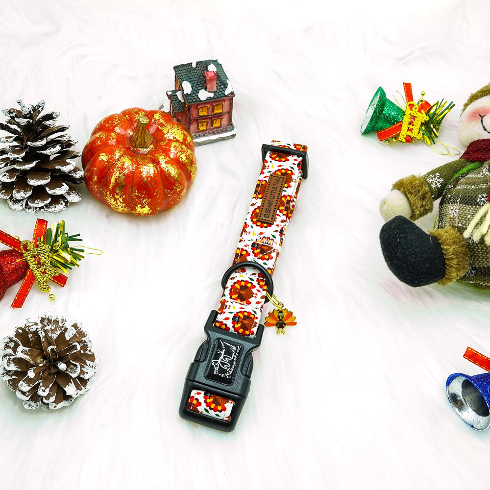 Elegant little tail eco-friendly buckle collar lightweight durable for leash use