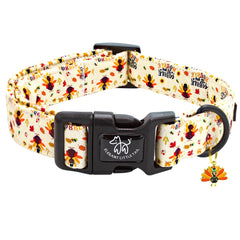 Elegant Little Tail Thanksgiving dog collar shows seasonal festive style for holiday walks.