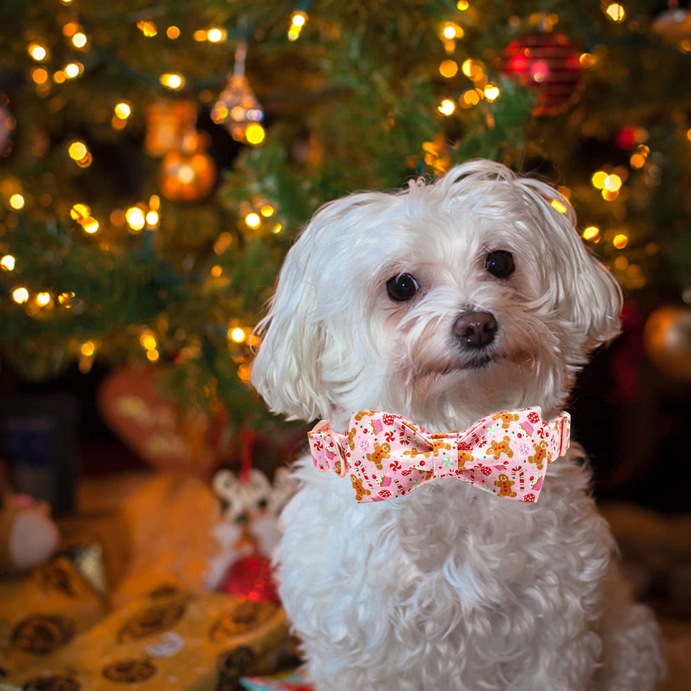 Elegant little tail washable collar, easy cleaning with warm water and mild soap