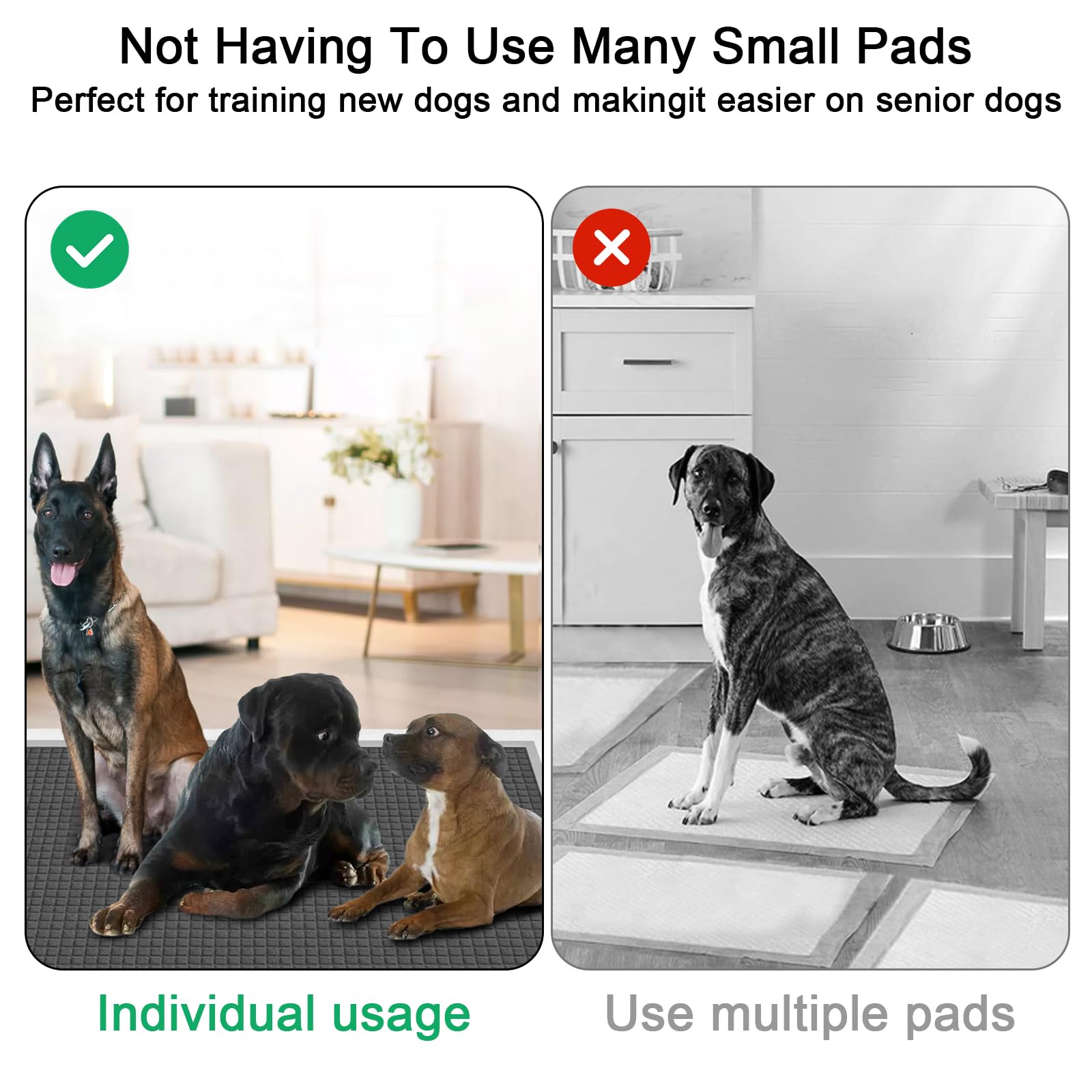 ELEGX activated-carbon pad deodorizes for a fresher room during training sessions