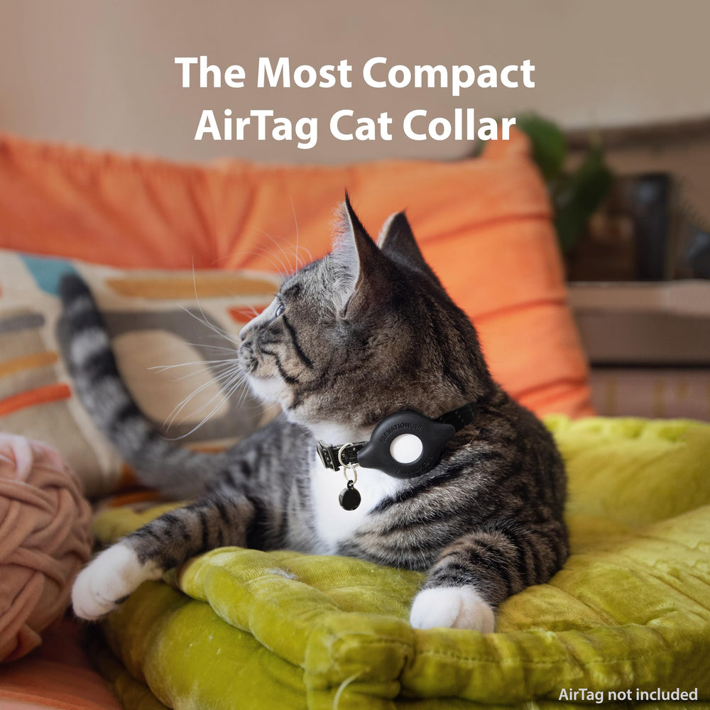 Elevation Lab TagVault AirTag Cat Collar Breakaway compact fit; comfortable wear for small cats.