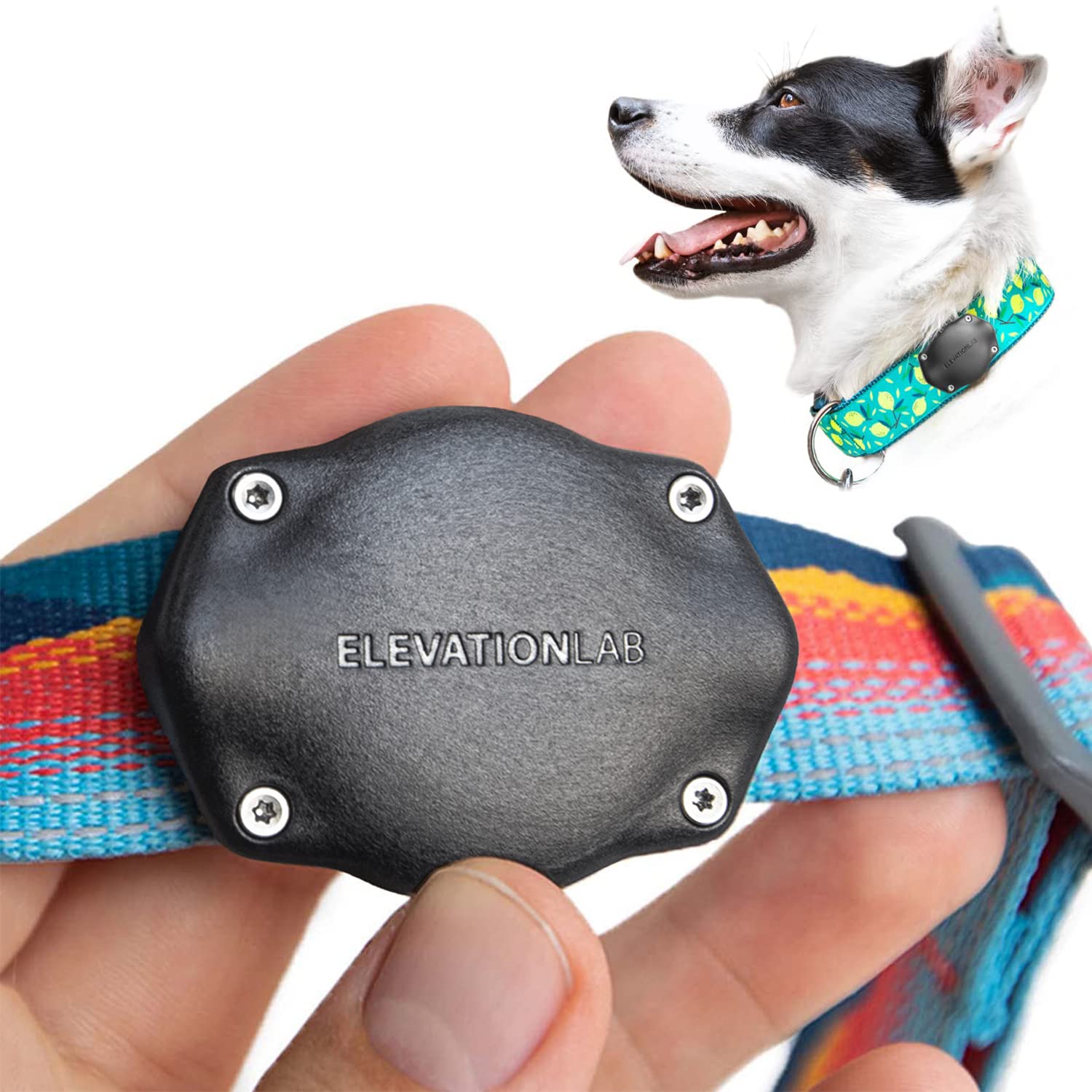 Elevation Lab TagVault AirTag dog collar mount assembly secures AirTag on any collar