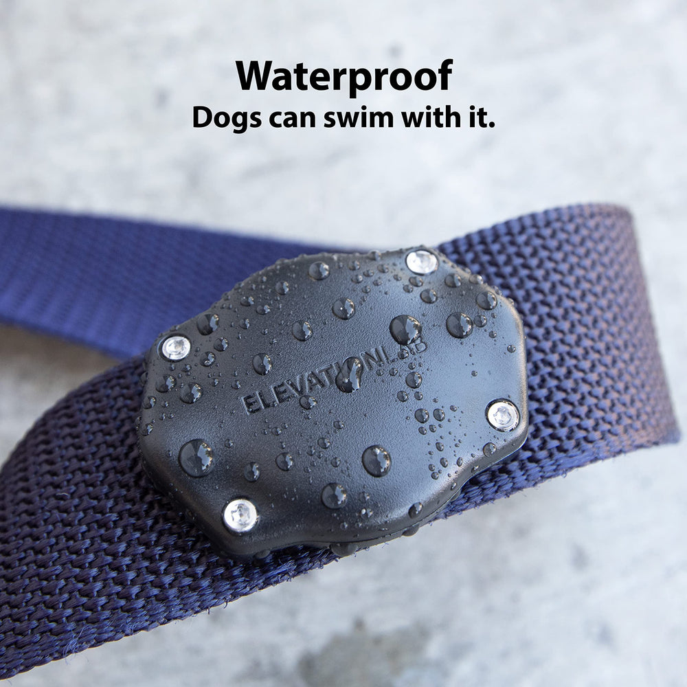 Elevation Lab TagVault IP69 waterproof design lets dogs swim with AirTag.