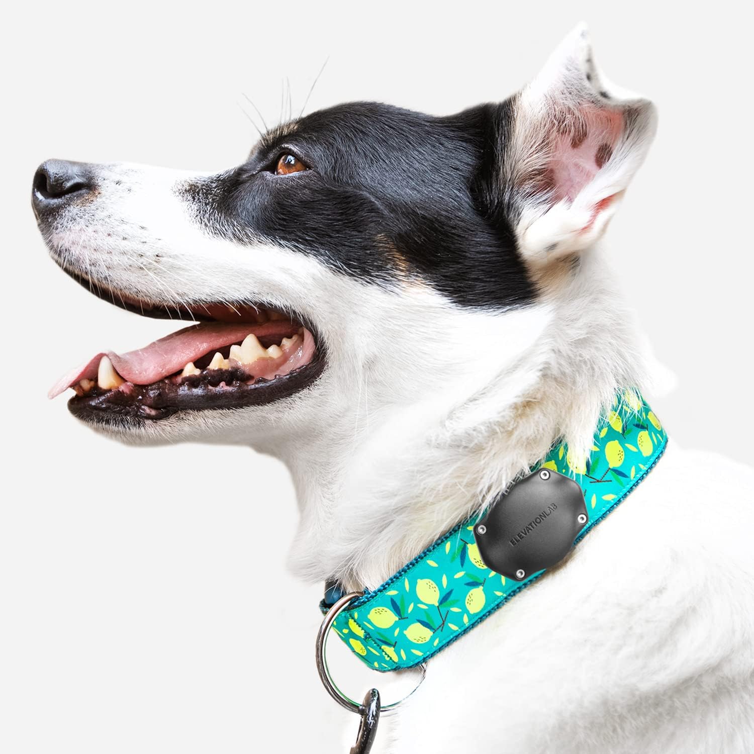 Elevation Lab TagVault preserves AirTag signal with an unobtrusive mounting design.