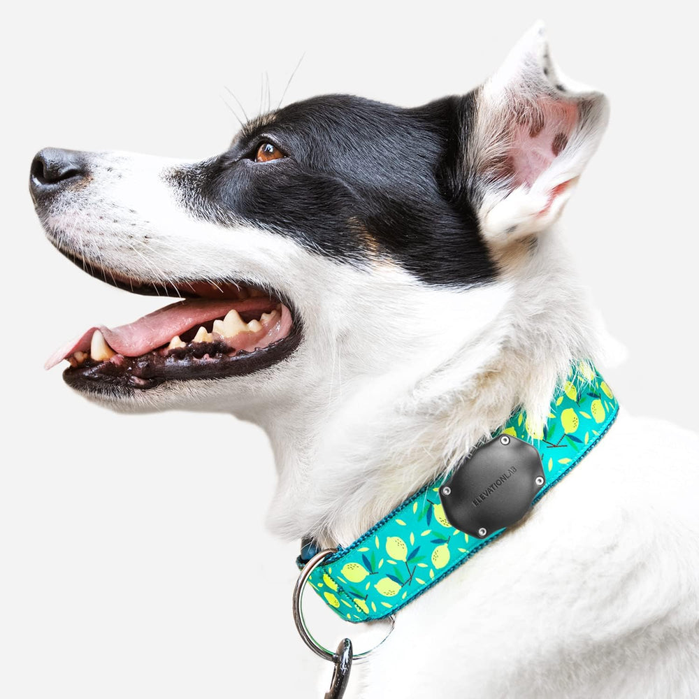 Elevation Lab TagVault preserves AirTag signal with an unobtrusive mounting design.