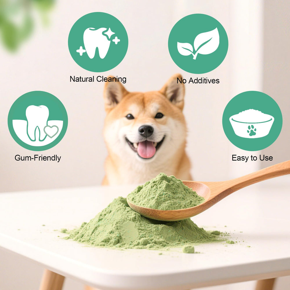 ELEVTC dog dental powder pour-over-food glance highlights easy, no-brush application for daily use.