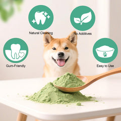 ELEVTC dog dental powder pour-over-food glance highlights easy, no-brush application for daily use.