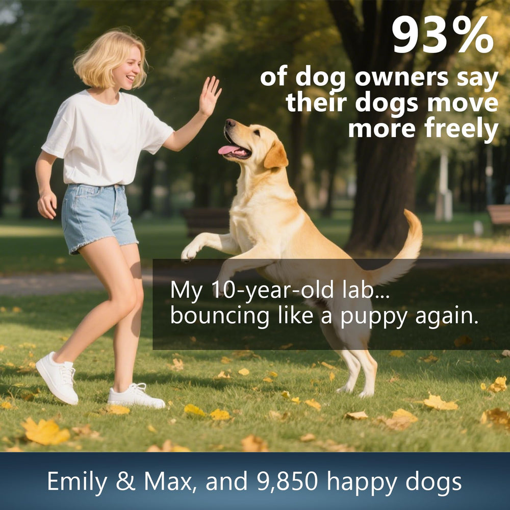 ELEVTC Glucosamine for Dogs owner giving chews during daily routine