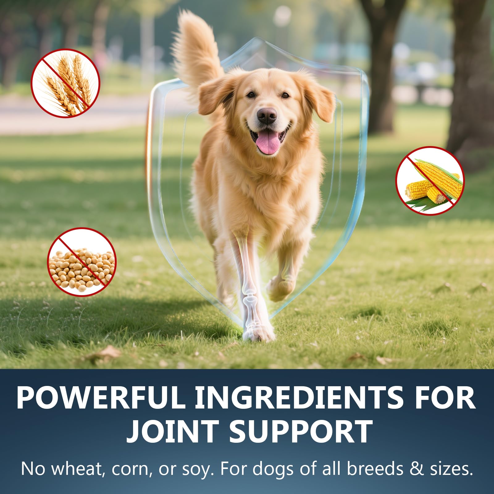 ELEVTC Glucosamine for Dogs turmeric hyaluronic acid blend