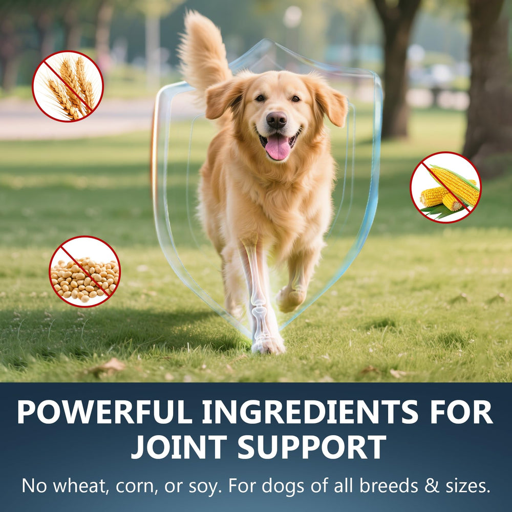 ELEVTC Glucosamine for Dogs turmeric hyaluronic acid blend