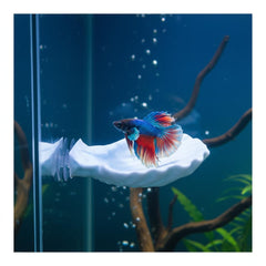 ELIRAR Betta Fish Hammock blue shell pad resting near the surface with a secure suction cup.