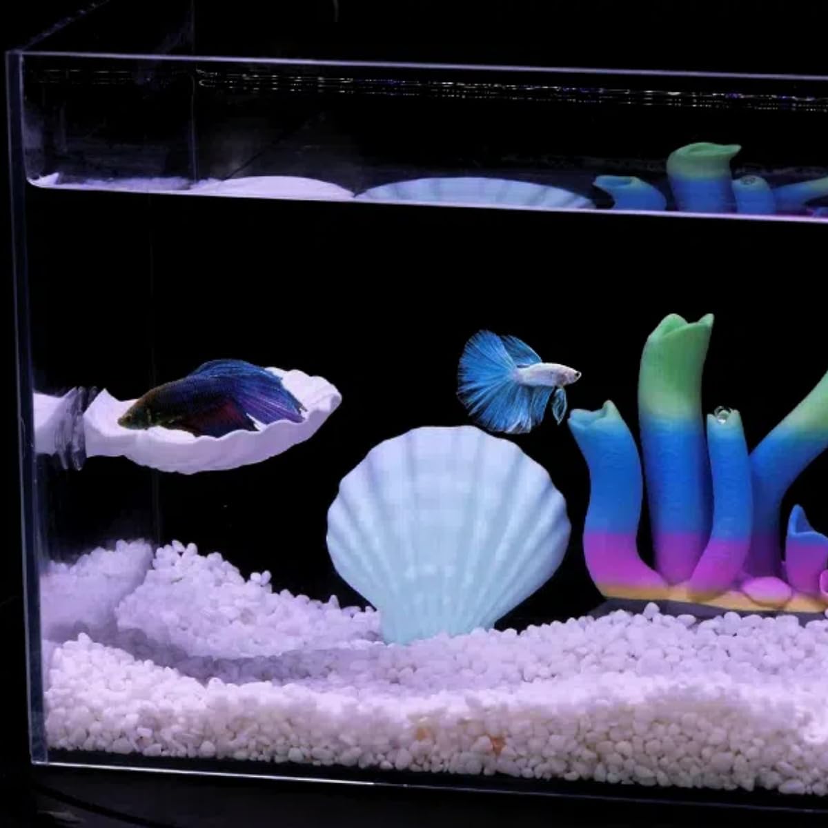 ELIRAR Betta hammock suction cup blue securely anchors to glass or acrylic tank.