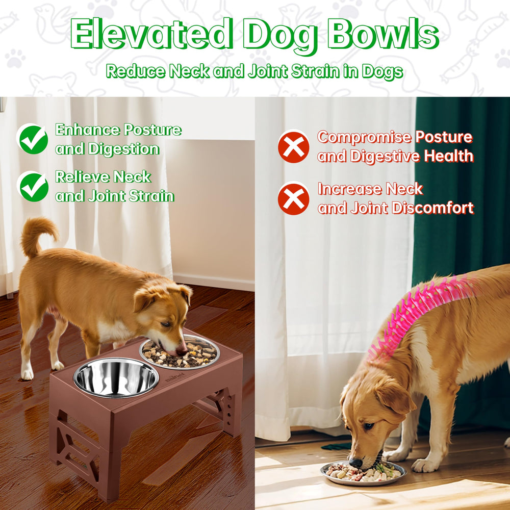 EliteField stainless steel bowls are food-safe and dishwasher-friendly.